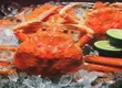 御所 岩崎 4